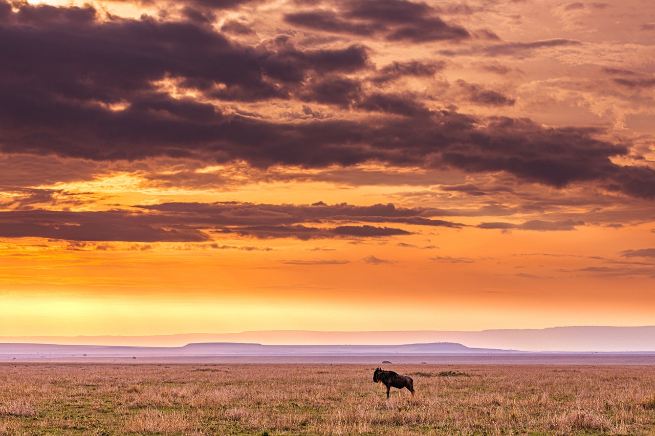 Aventure et Nature à Nairobi en 5 Jours